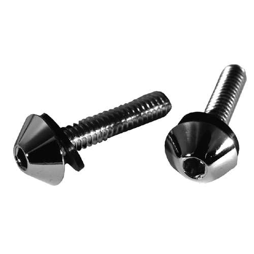 CHRM S/S WINDOW SILL SCREWS